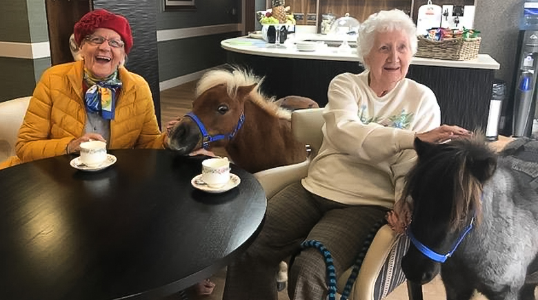 Residents Stroking Therapy Ponies